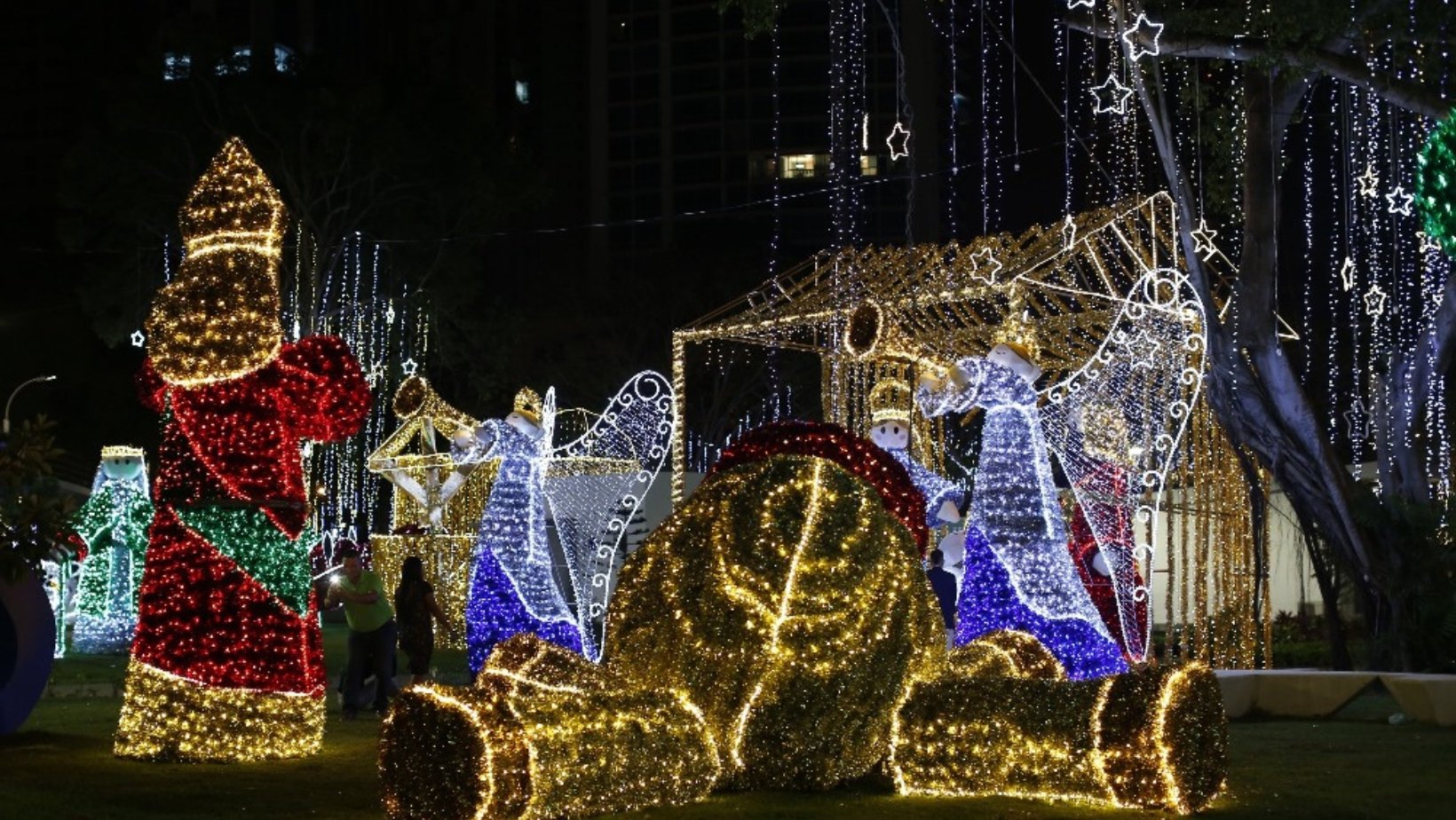 Parque Urraca Christmas